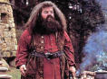 Professeur Hagrid